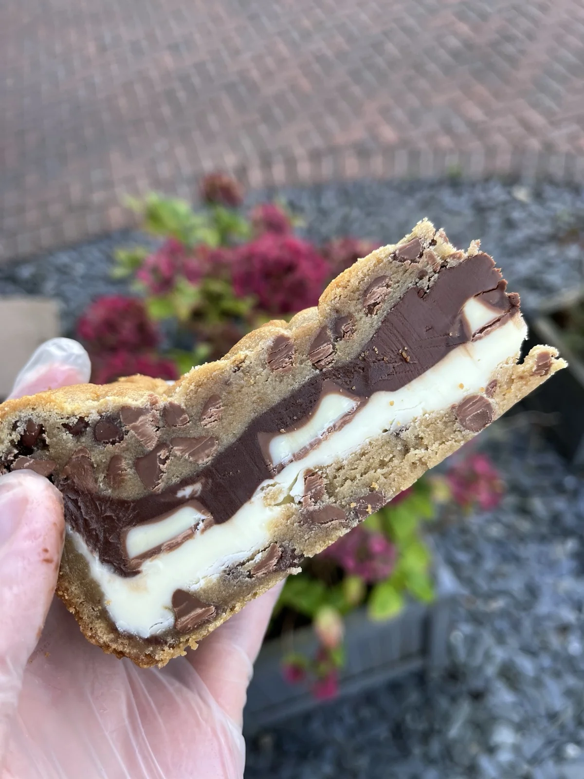Slice of the ITFC cookie pie — a deep-filled cookie stuffed with layers of milk and white chocolate